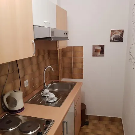 Matic Nikola Guest house *
